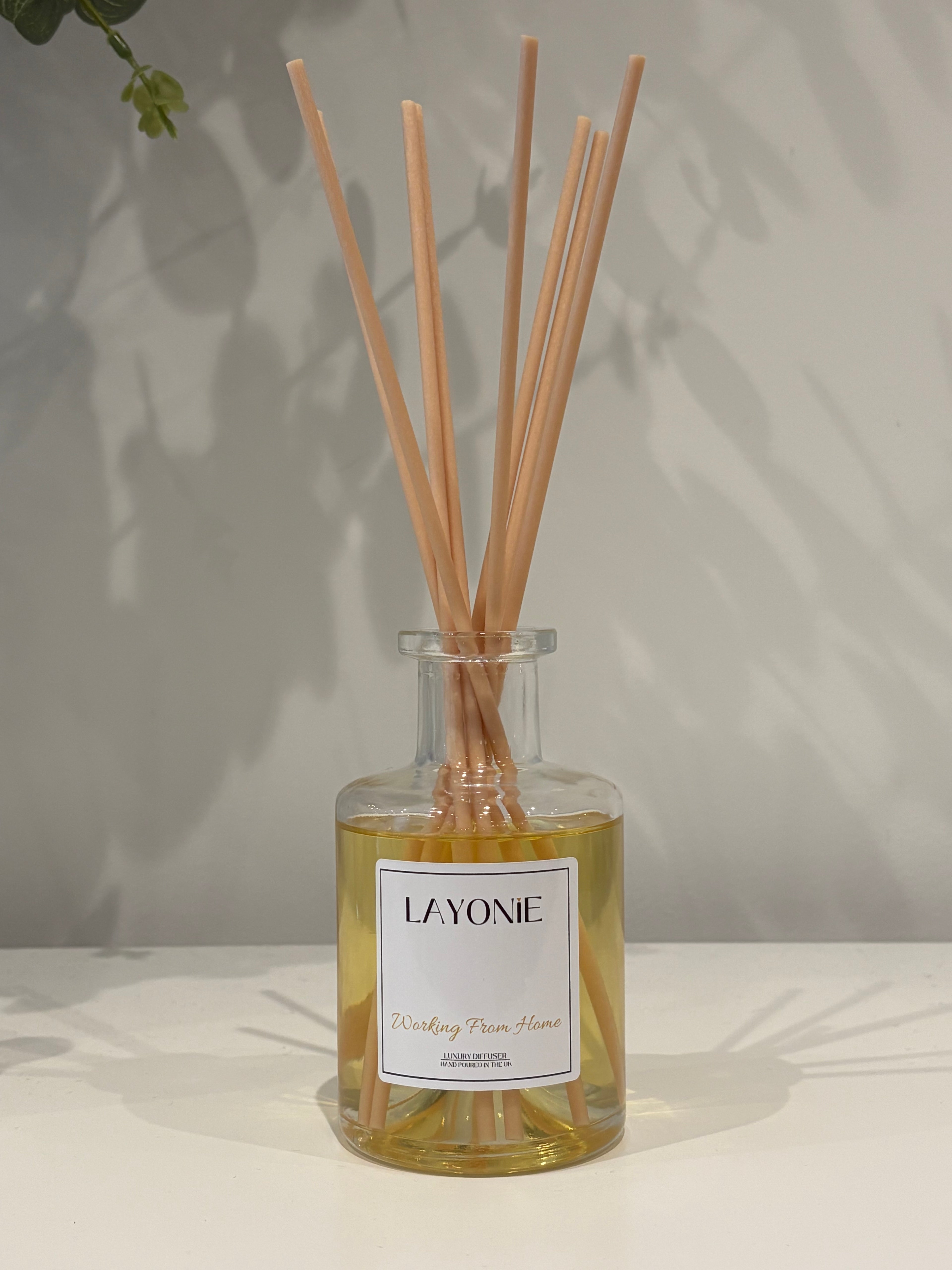 Working From Home Diffuser